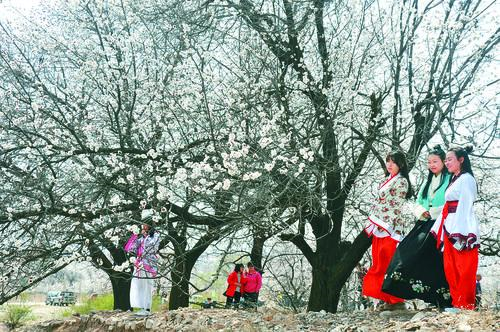 维多利亚官网 品牌形象大片 优雅时尚
